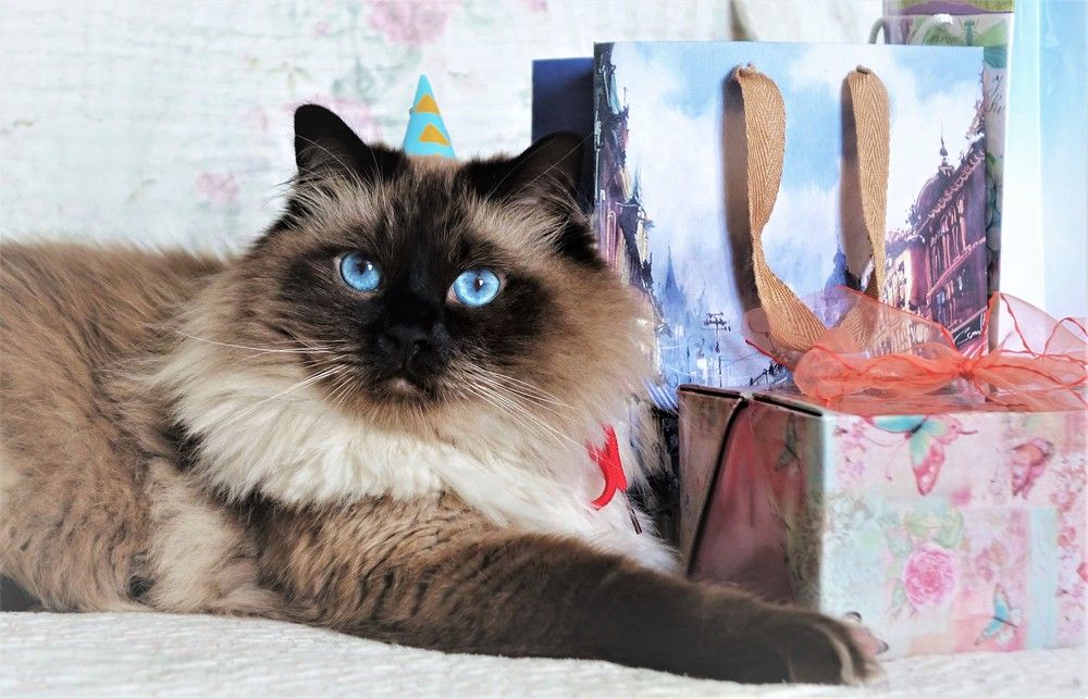 Фотография автора Валентина Гундарева