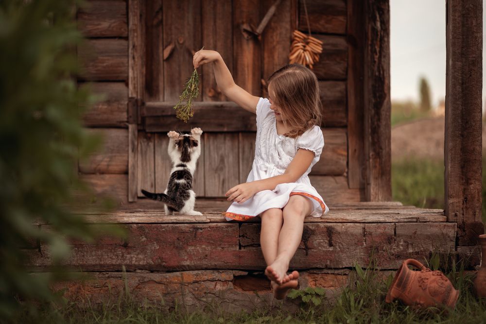 Лето в деревне