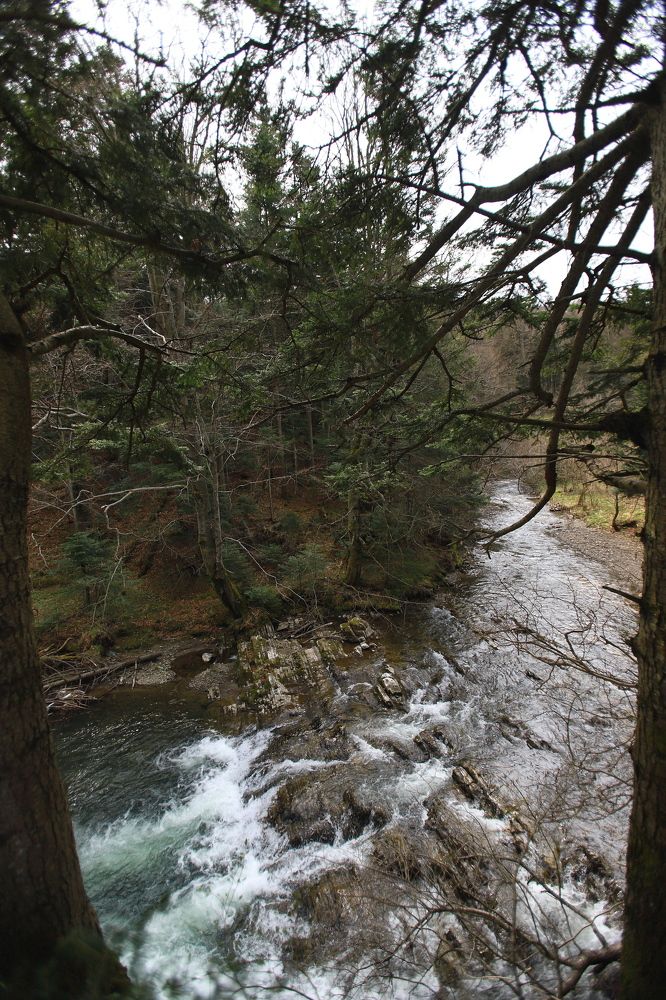 Photograph by Андрей Телибаев