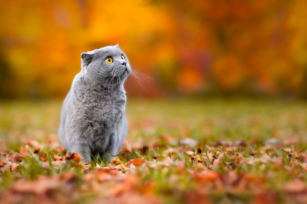 Photograph by Veronika Blažeková