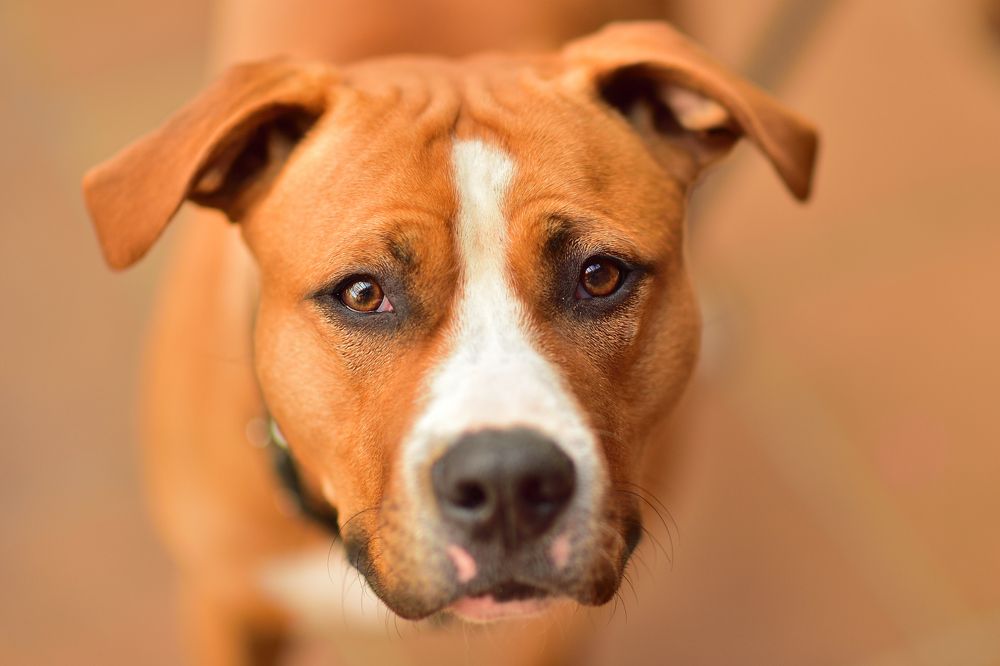 Photograph by Juraj Benčík