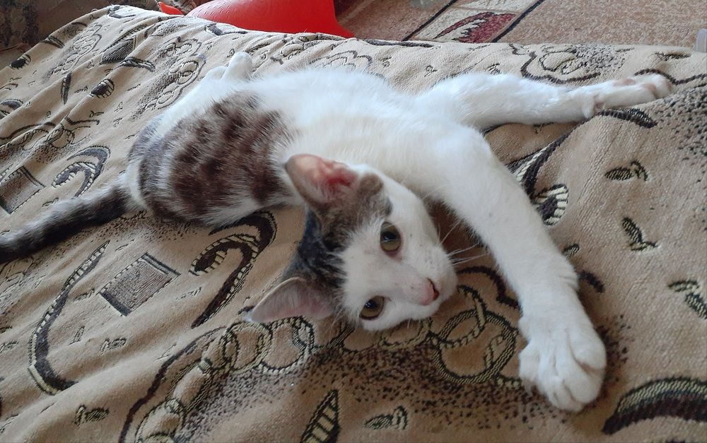 Photograph by Елена Пустовит