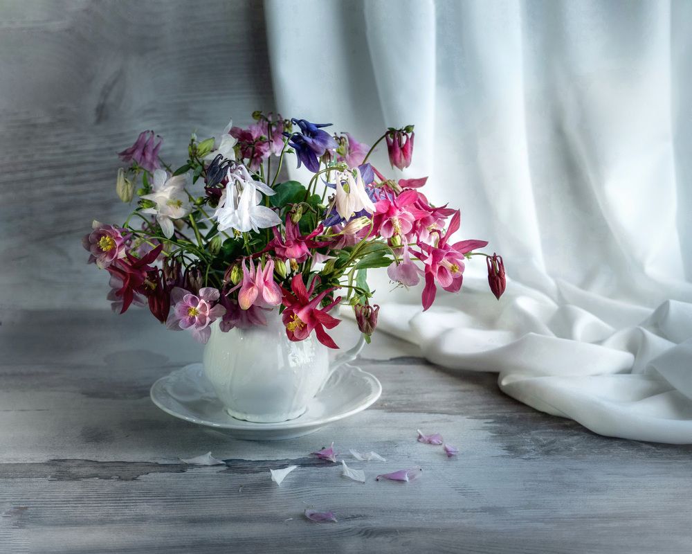 Photograph by Ксения Ершова