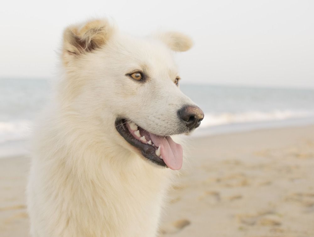 Photograph by Hanna Zapylaieva