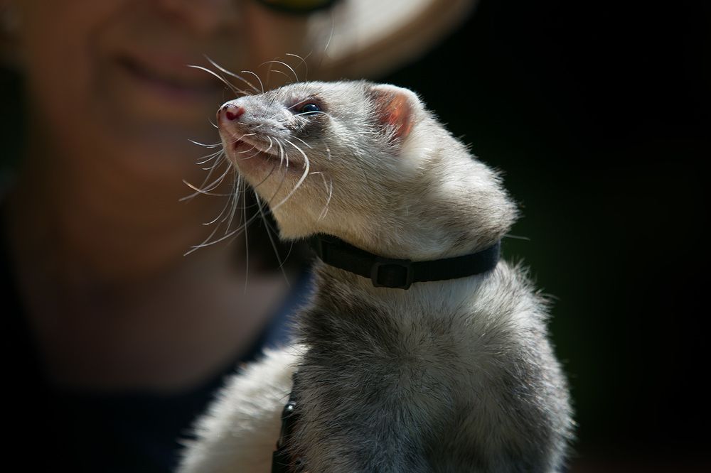 Photograph by Vera Trandina