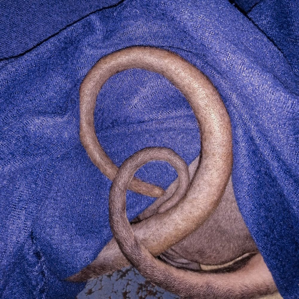 Photograph by Ирина Голубятникова