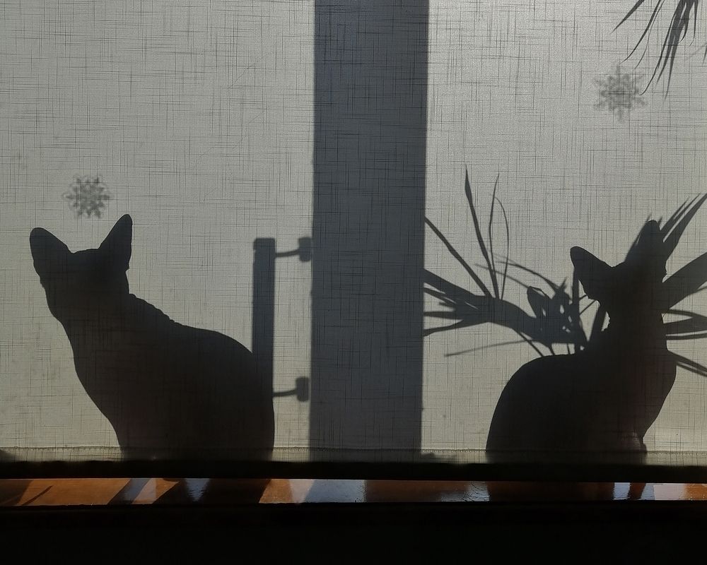 Photograph by Ирина Голубятникова