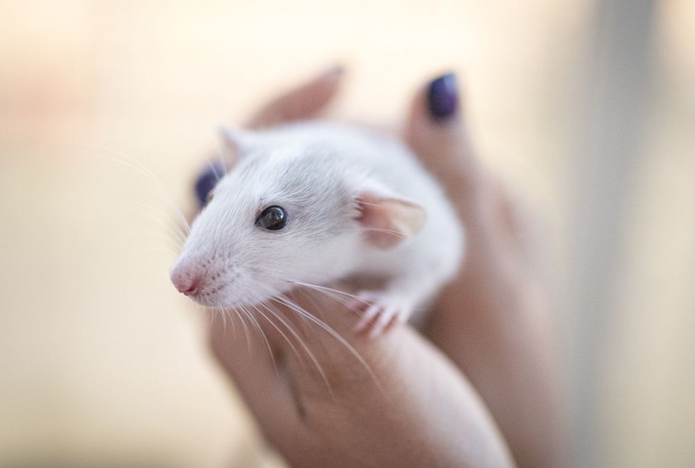 Photograph by Сергей Марков