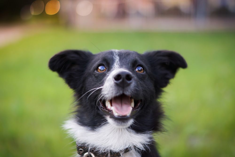 Photograph by Екатерина Булгакова