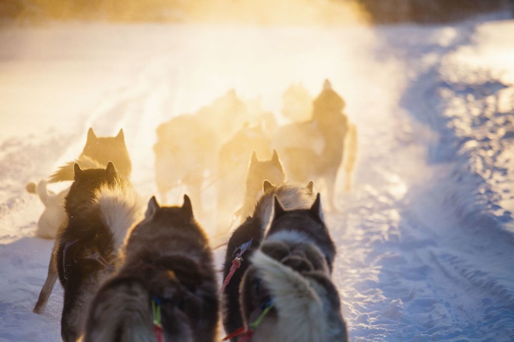Фотография автора Надежда Лебедева