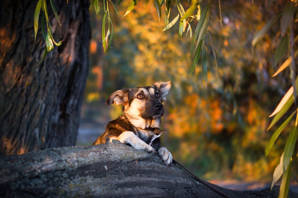 Photograph by Екатерина Булгакова