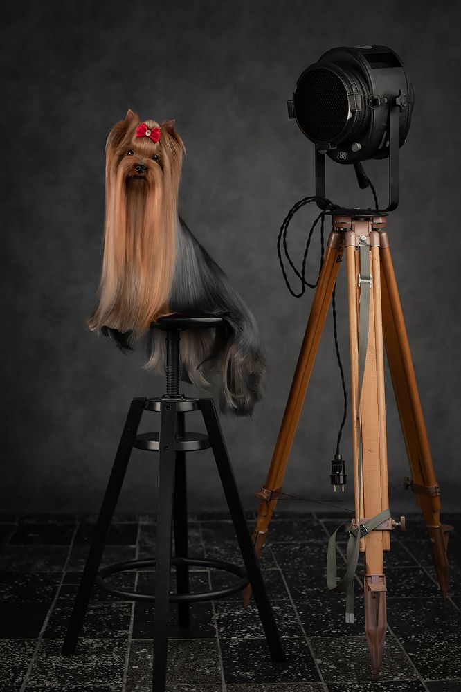 Photograph by Первенцева Елена