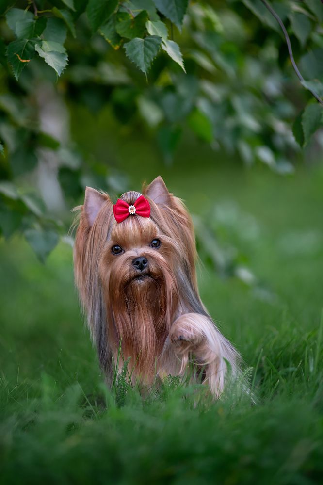 Photograph by Первенцева Елена