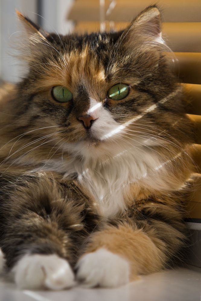 Photograph by Оксана Казакова