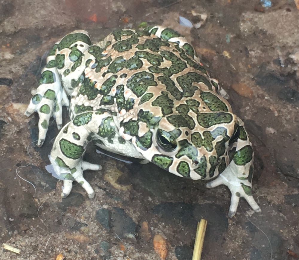 Photograph by Ирина Трембач