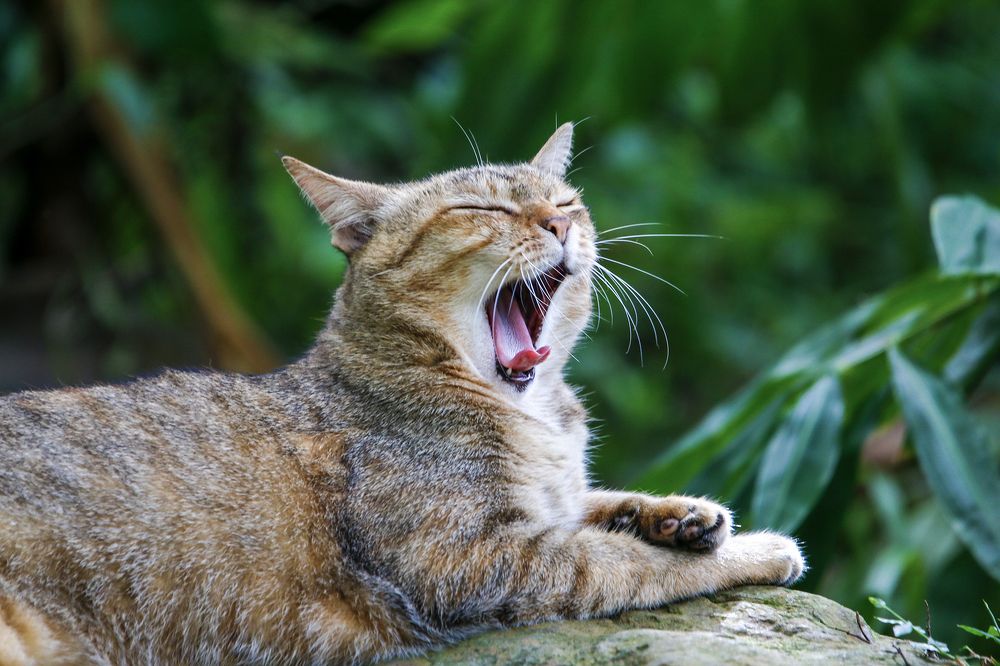 Photograph by Danny lai