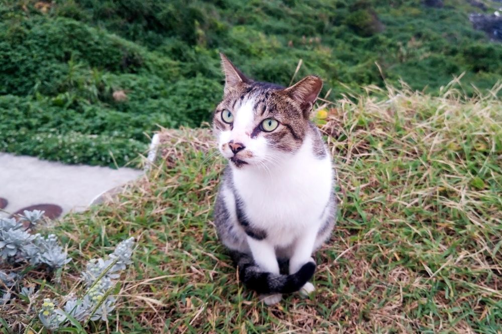 Photograph by Danny lai