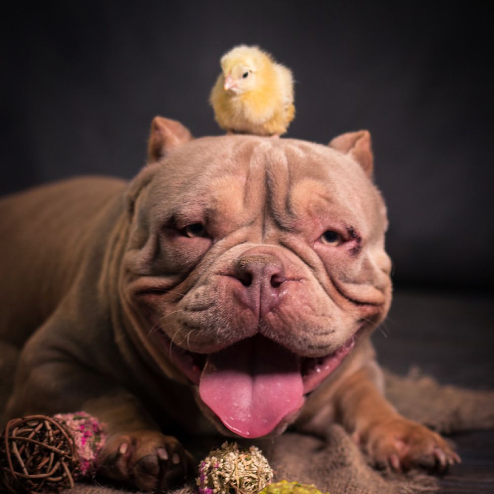 Photograph by Ольга Гамей