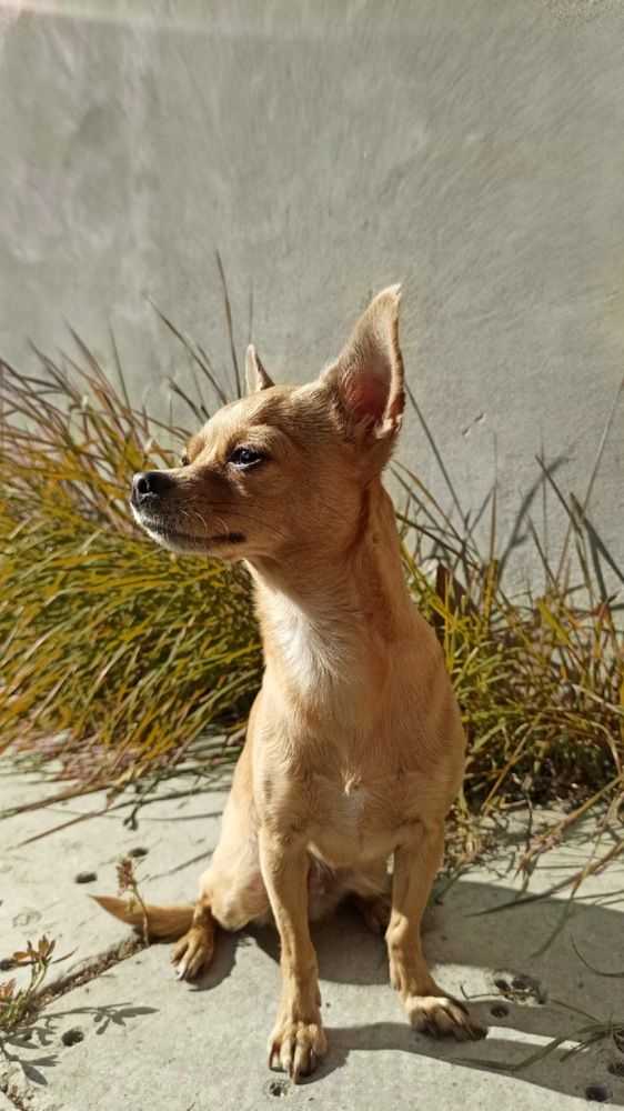 Photograph by Елизавета Комарова