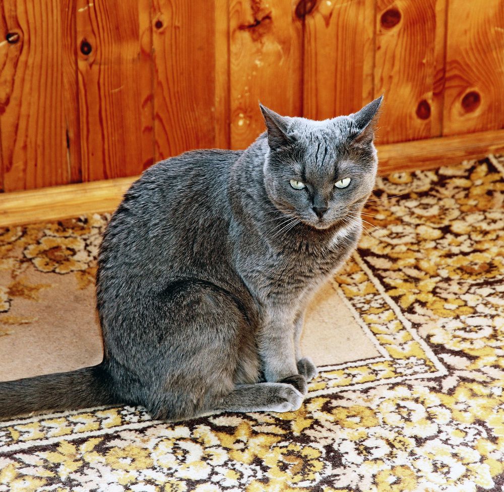 Photograph by Александр Бугаенко