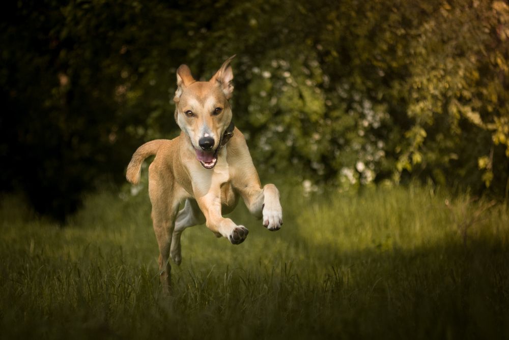 Photograph by Anastasiia Mietielieva