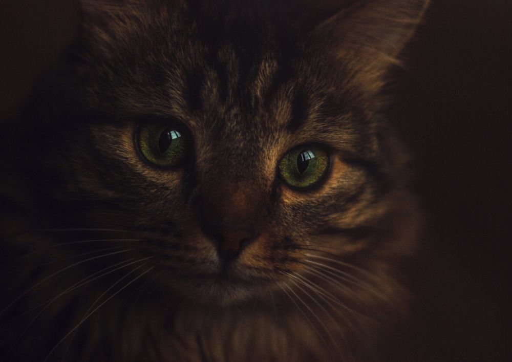 Photograph by Мария Теос