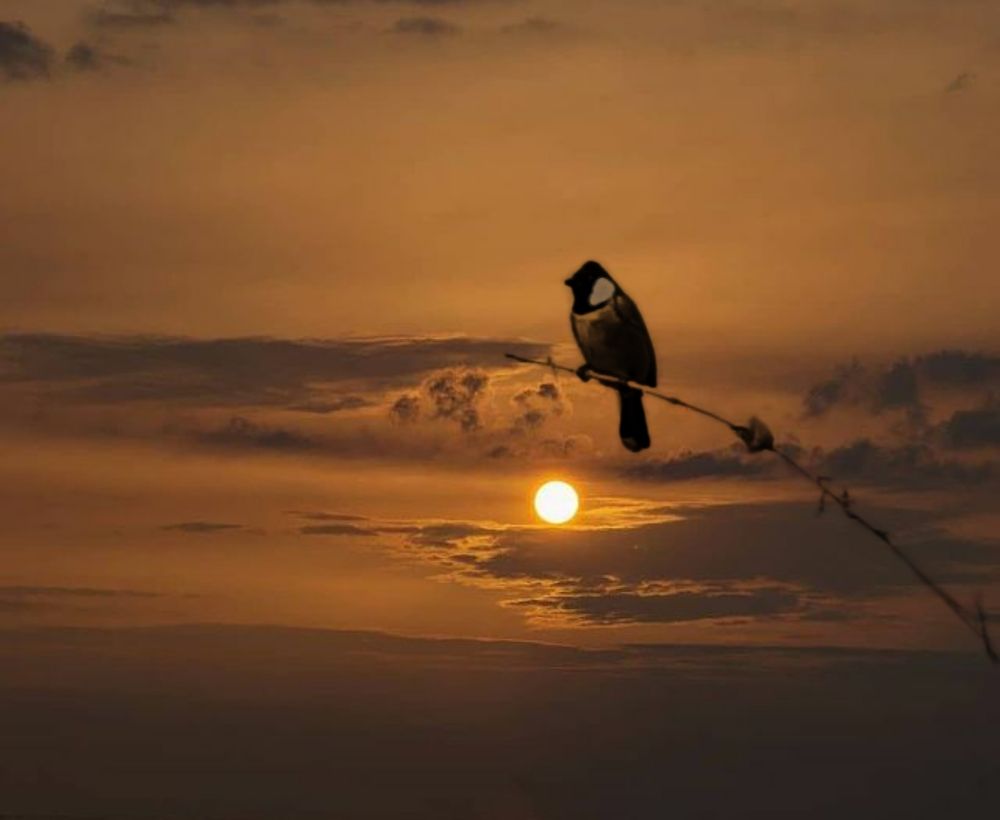 Photograph by Khaled ahmadi