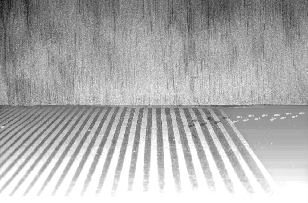 Photograph by Khaled ahmadi