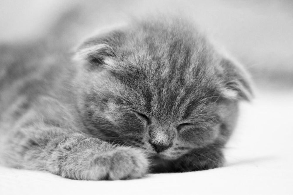 Photograph by Юлия Голубкова