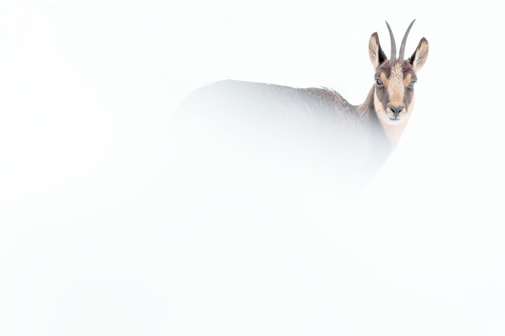 Photograph by Unai Larraya