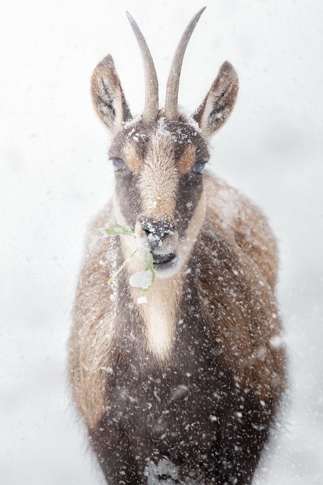 Photograph by Unai Larraya