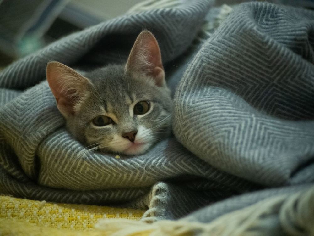 Photograph by Аля Кнастер