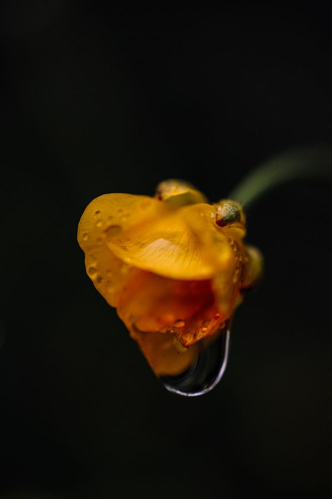 Photograph by Наталья Могилевская