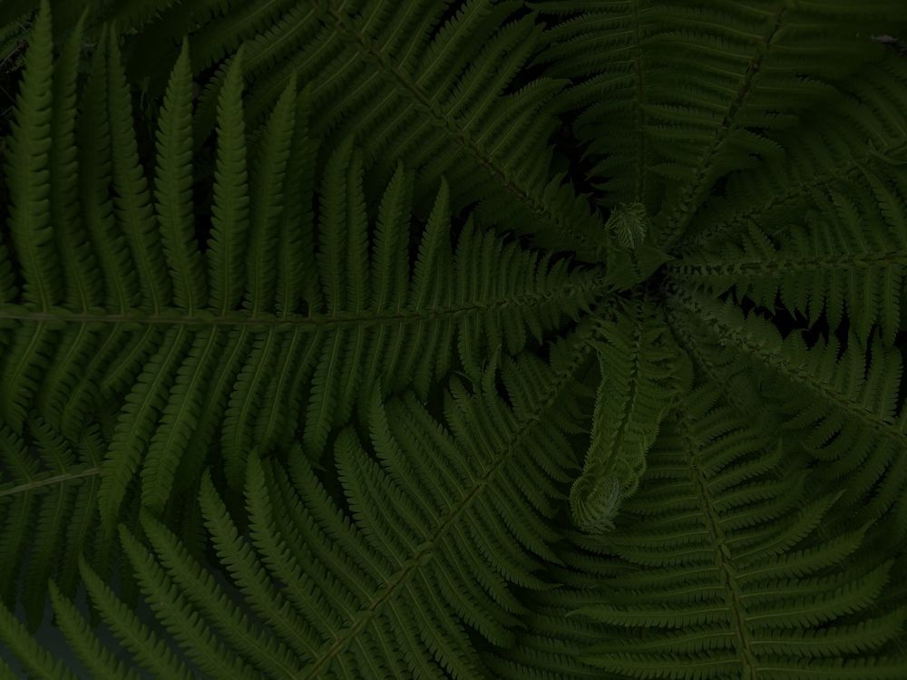 Photograph by Кирилл Сенин