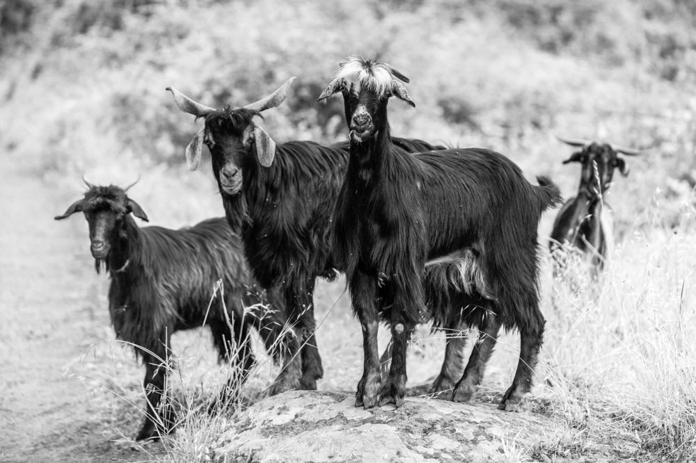 Photograph by Jose Luis Mendez Fernandez