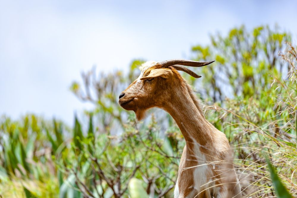 Photograph by Jose Luis Mendez Fernandez