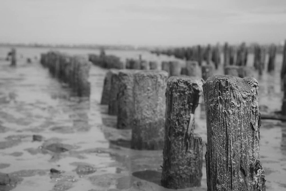 Photograph by Регина Орехова