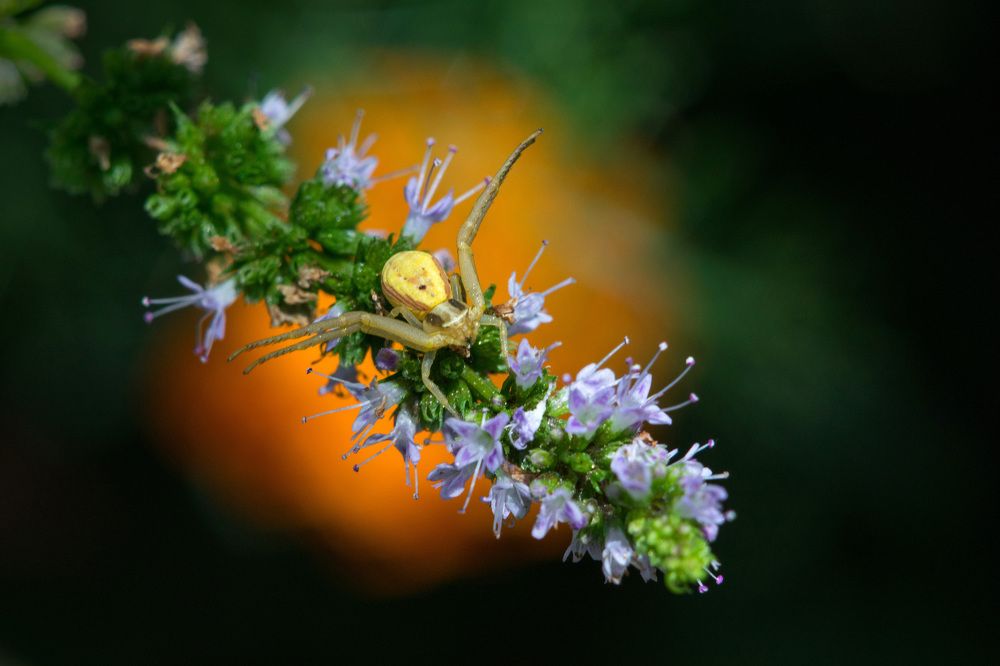 Photograph by Matko Matkovic