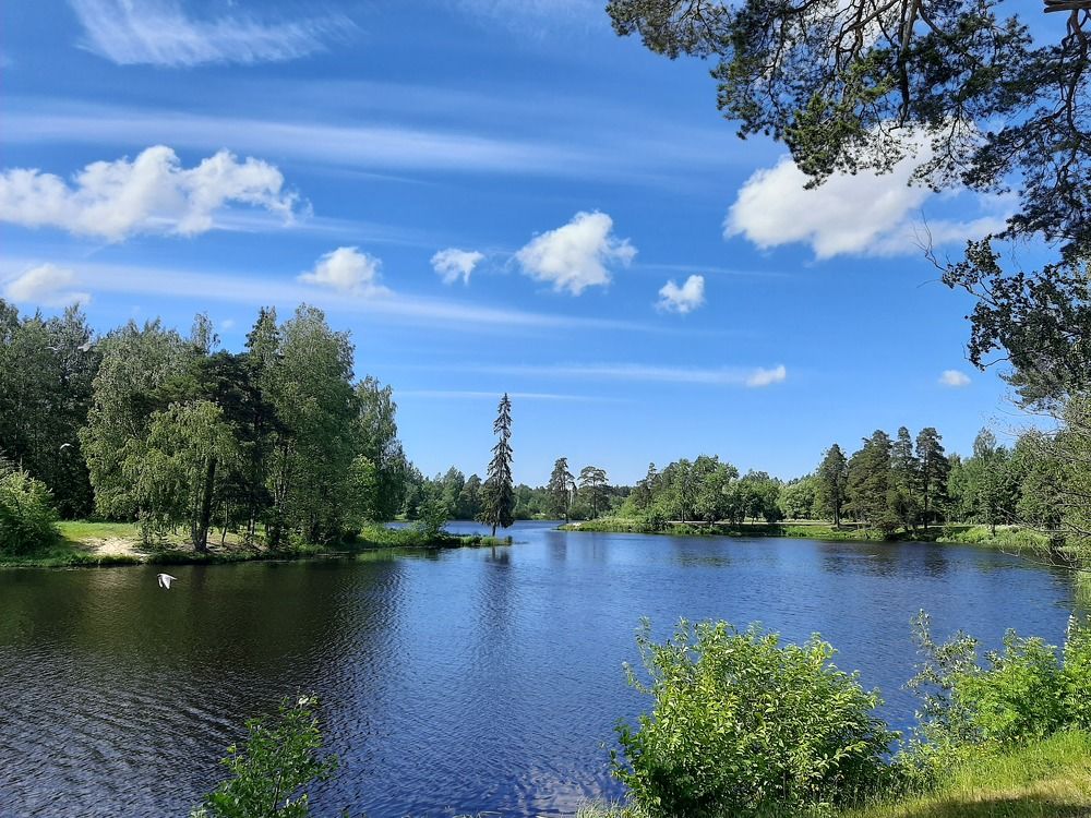 Photograph by Елена Грошева