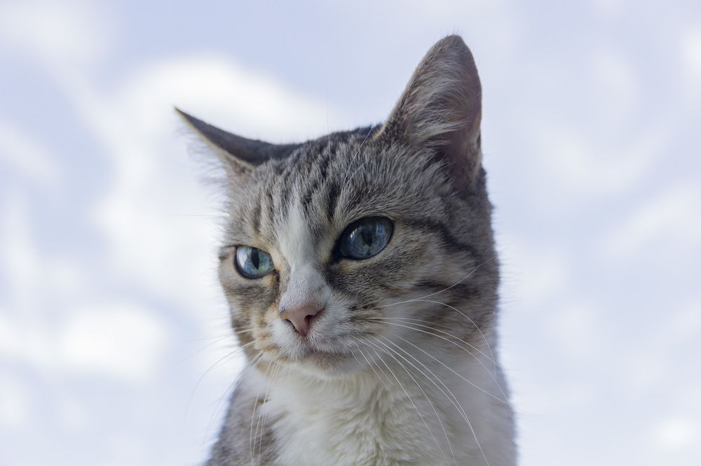 Photograph by Anna Gapanovich