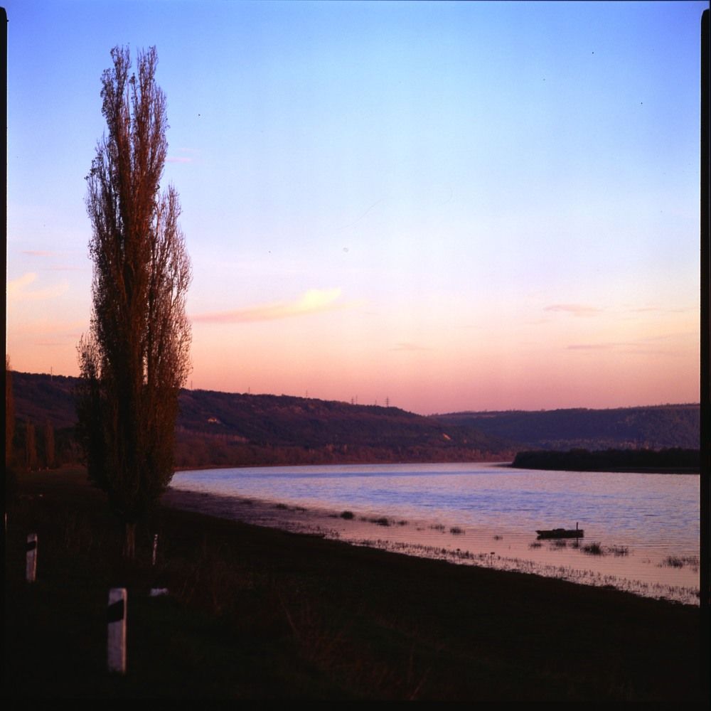 Photograph by Svet Lana