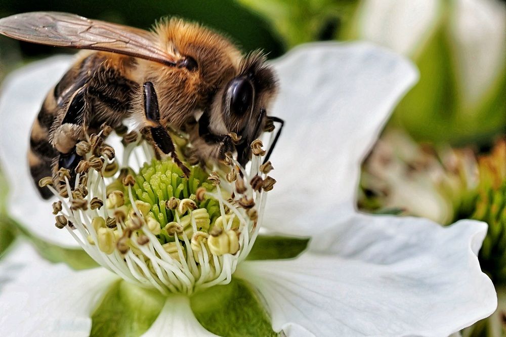 Photograph by Ирина