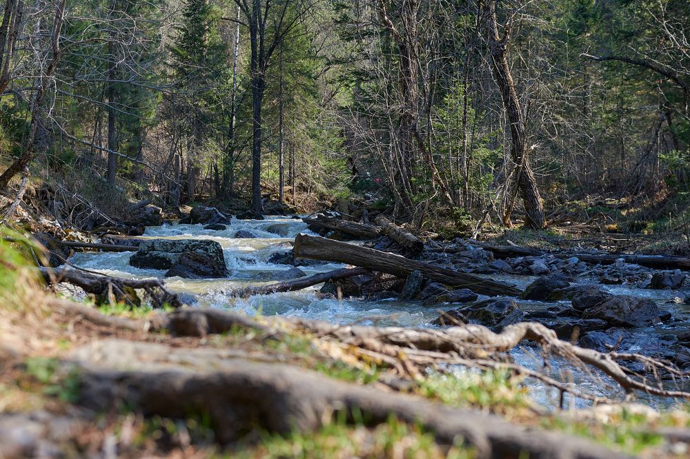 Photograph by Михаил Юматов