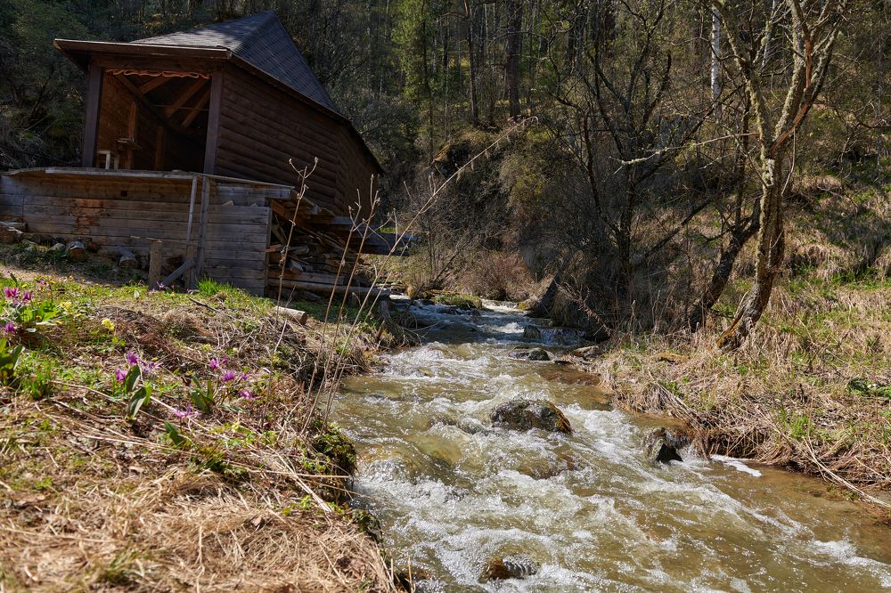 Photograph by Михаил Юматов