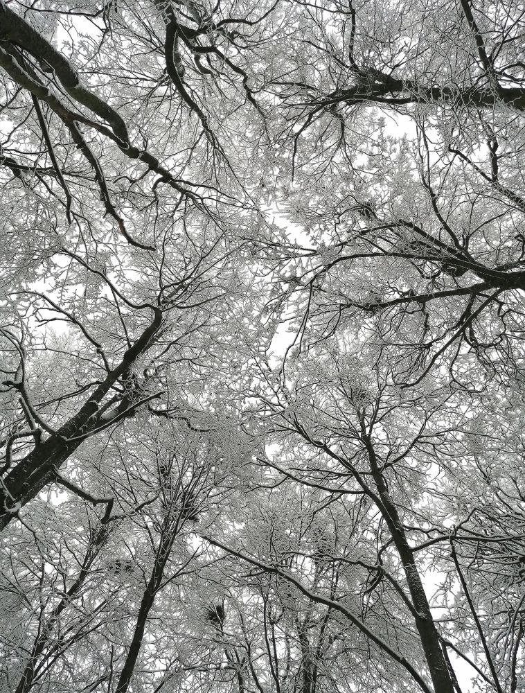 Photograph by Кира Орлова