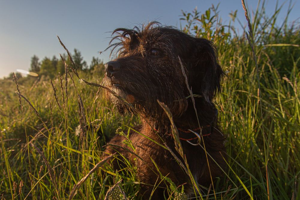 Фотография автора Павел Учёнов