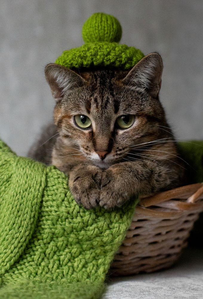 Photograph by Светлана Гунина