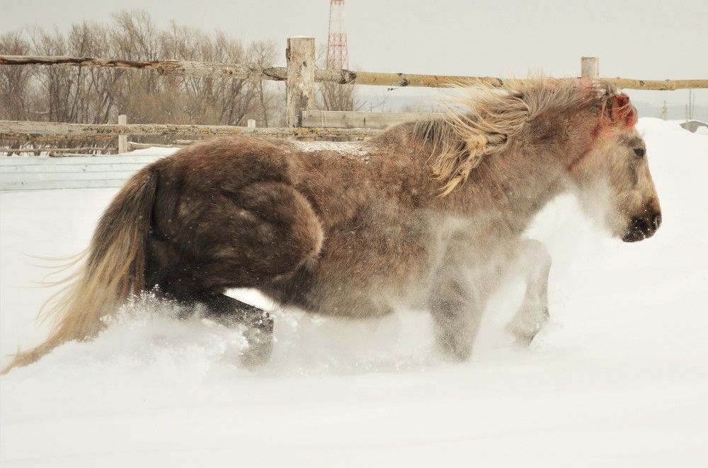 Photograph by Наталья Кокорина