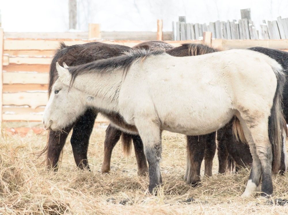 Photograph by Наталья Кокорина
