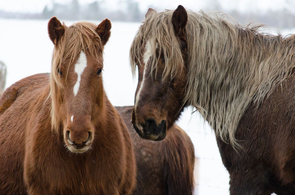 Photograph by Наталья Кокорина